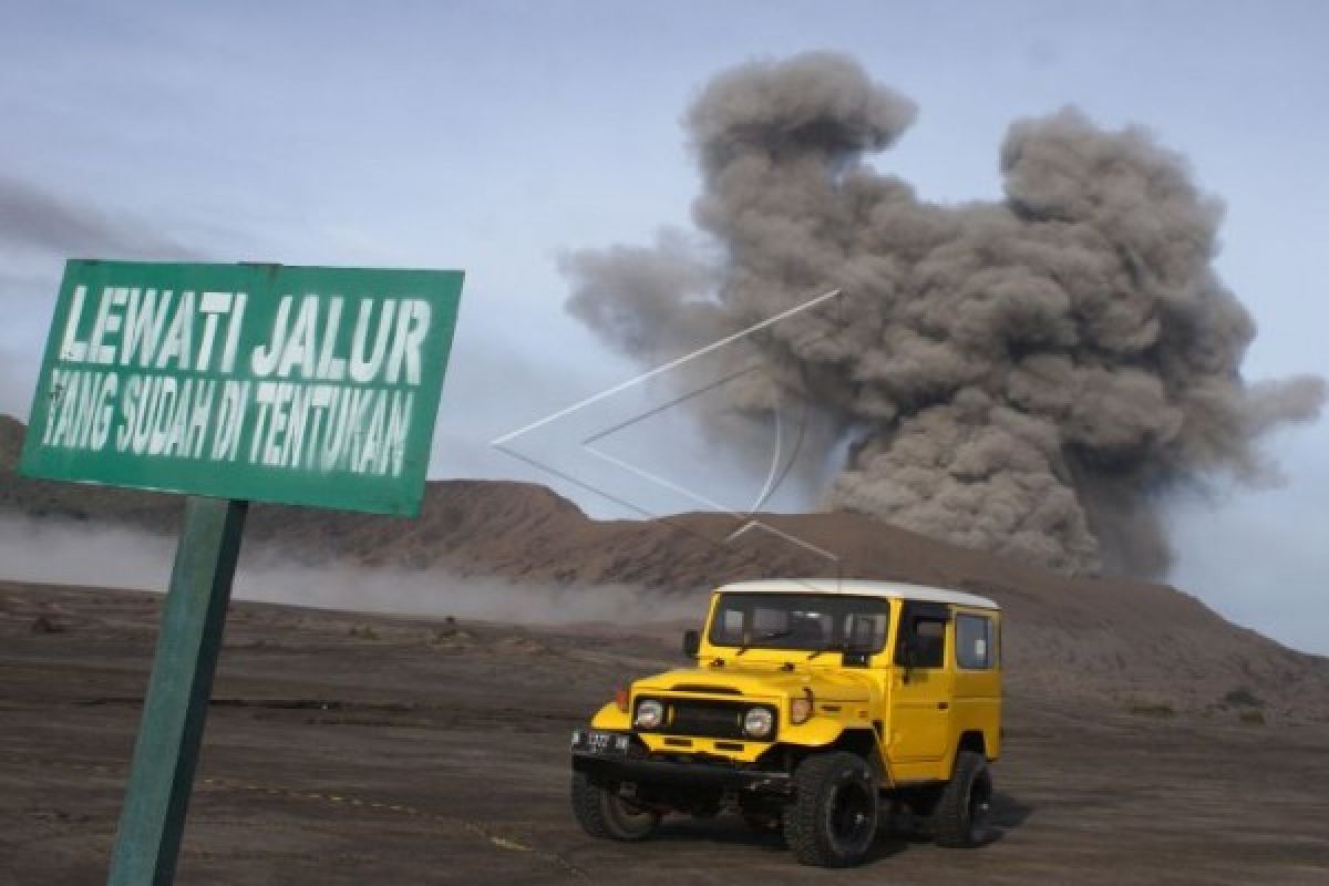 PPGA: aktivitas Gunung Bromo masih fluktuatif