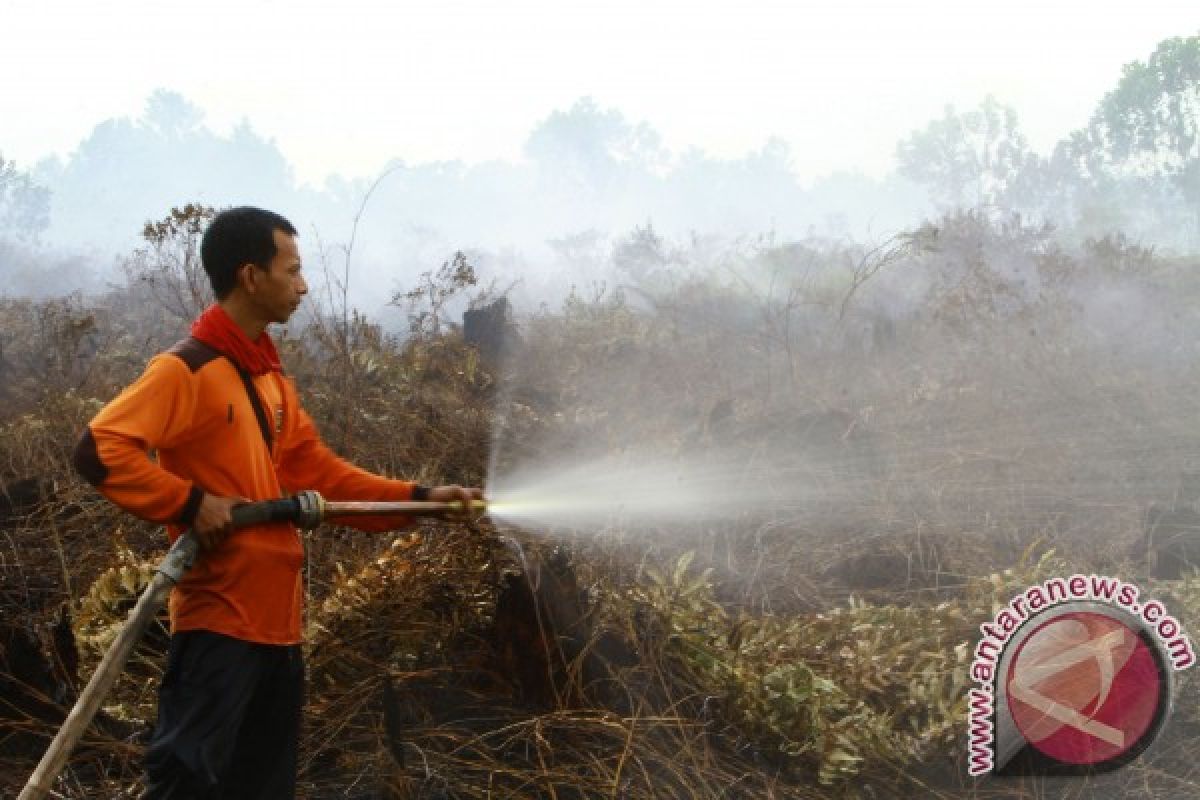 Wagub Kalbar : Jangan Bedakan Penanganan Gambut Daerah