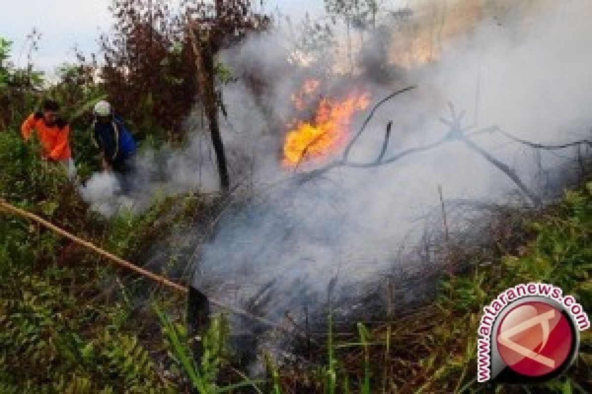 Empat hektare lahan perusahaan di Jambi terbakar 