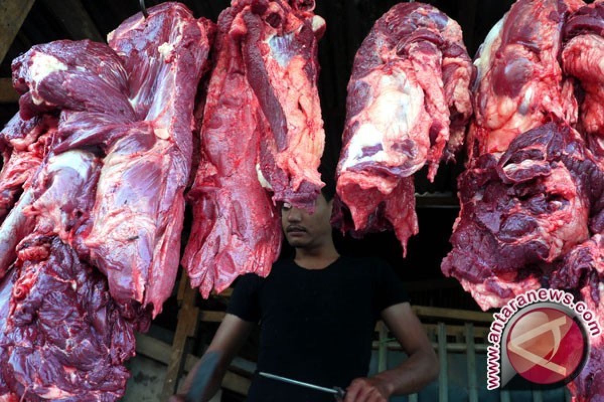 Banten Belum Butuhkan Daging Kerbau Impor