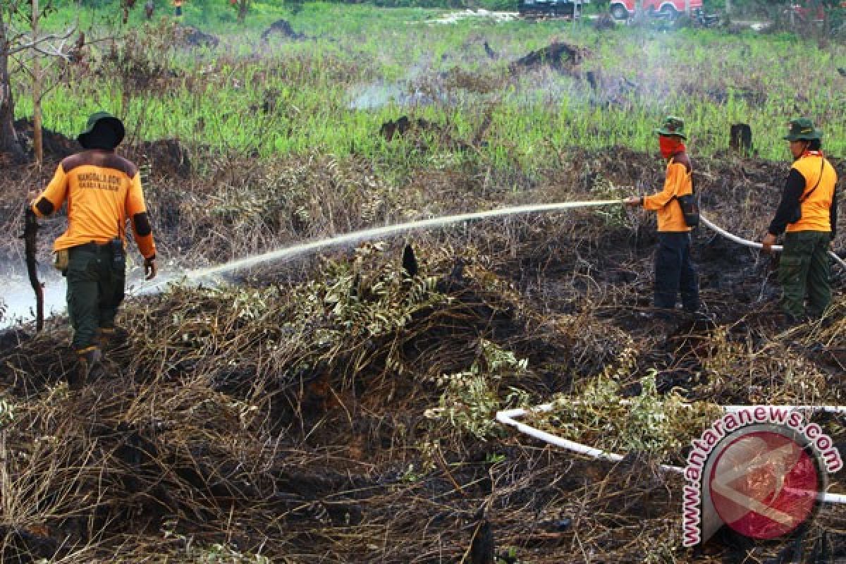 Restorasi gambut butuh  dukungan masyarakat lebih besar