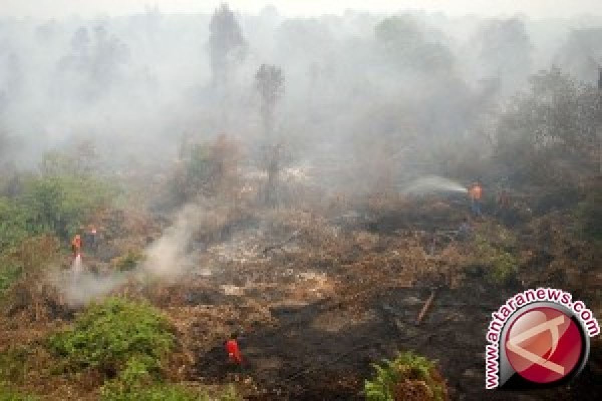 Januari-Oktober 101 Hektare Hutan Batanghari Terbakar