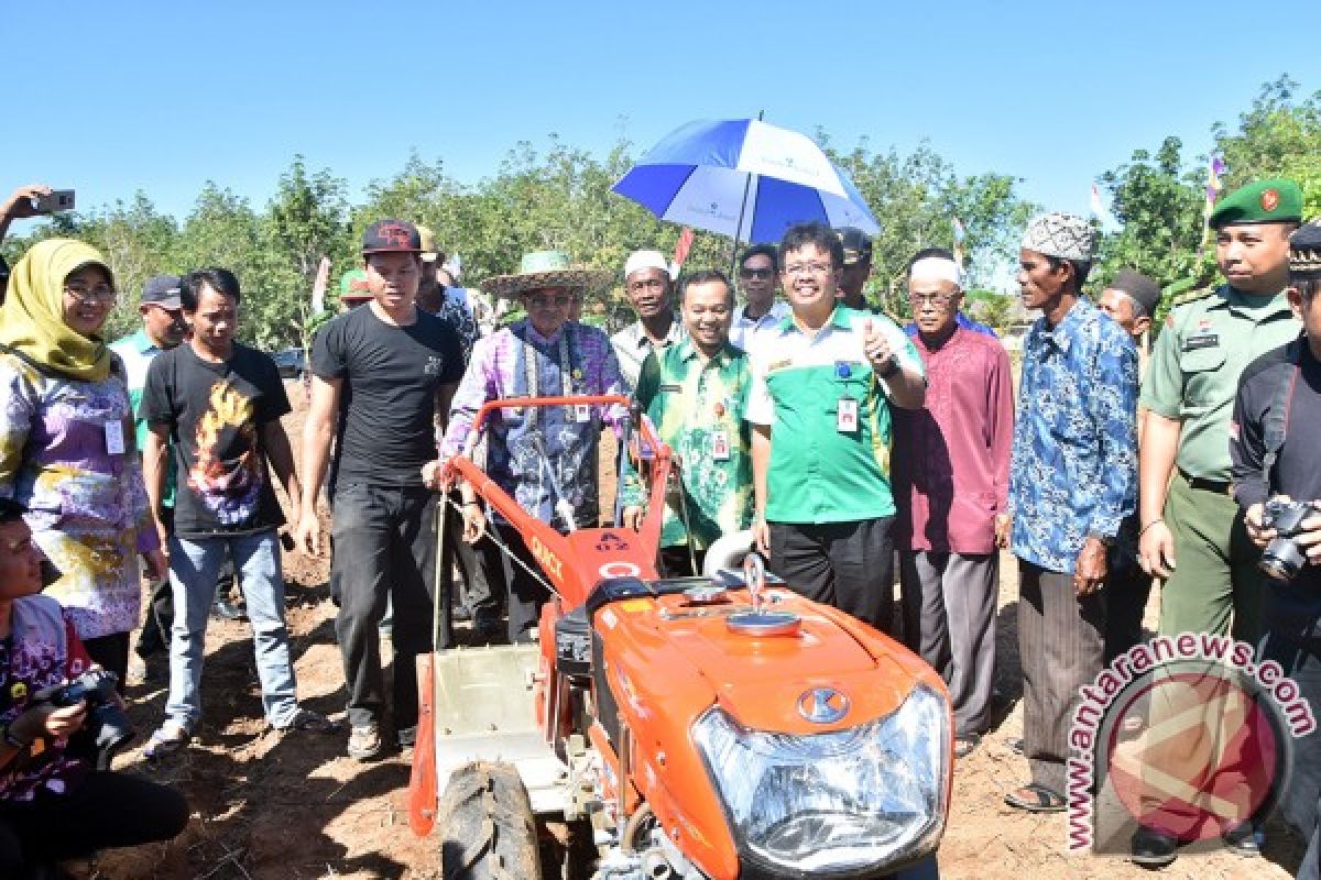 Tanam Perdana Kedelai Di Danau Salak