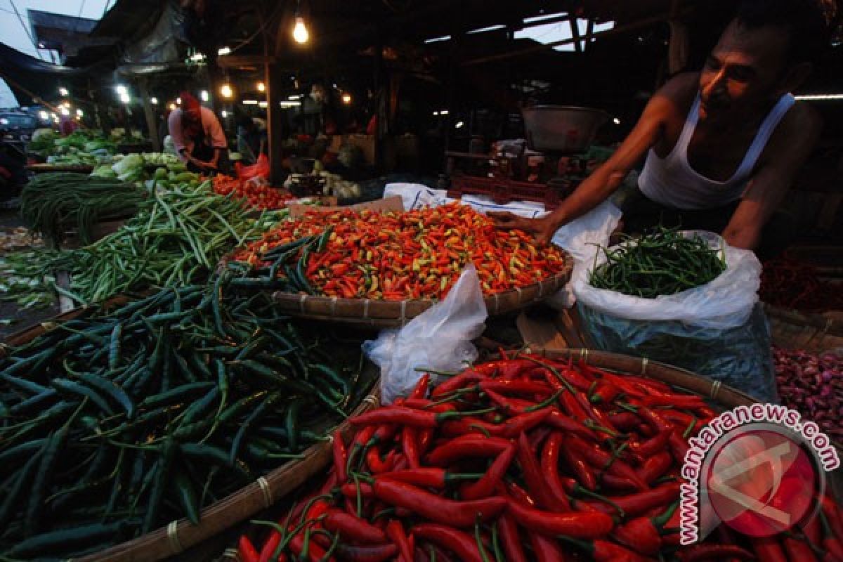 Petani menjerit, tahun ini jangan impor cabai