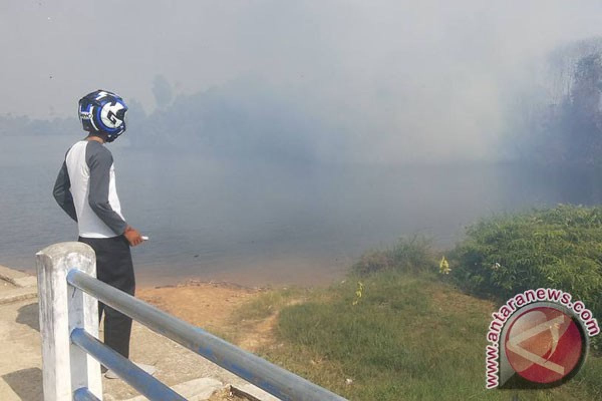 PT Sifef bantu bibit pohon penghijauan Danau Nibung