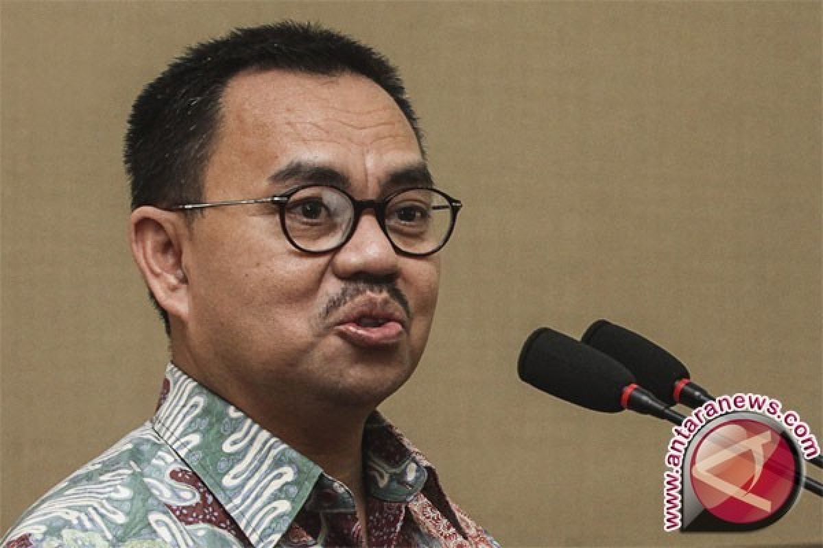 Sudirman Said: 42 persen suara modal buat Muhaimin