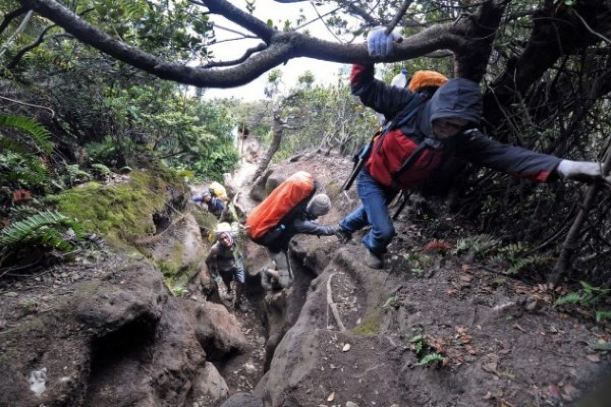 Rescuers Still Searching Two Missing Climbers At Mount Slamet
