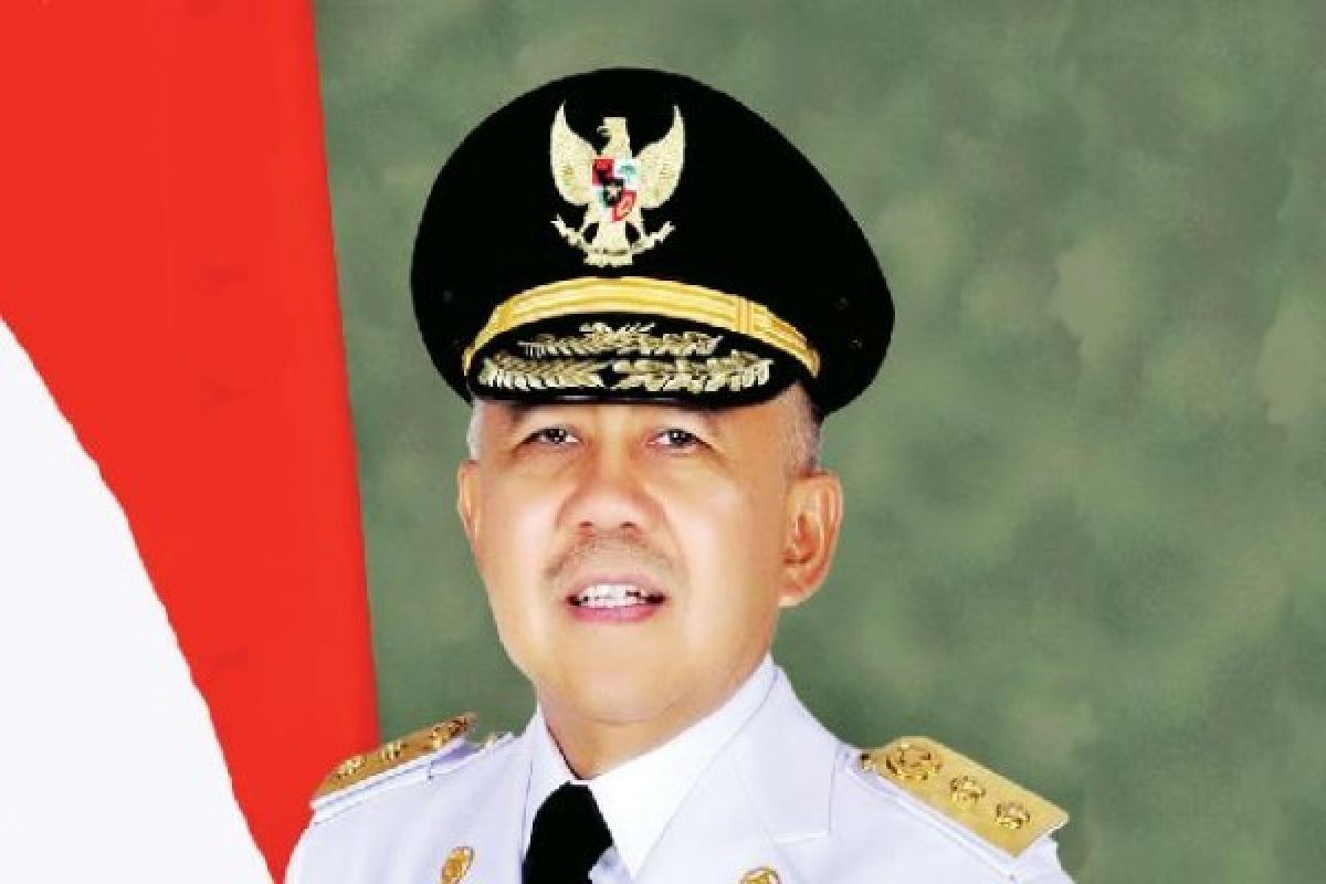 Wapres hadiri peringatan Hari Lingkungan Hidup di Siak