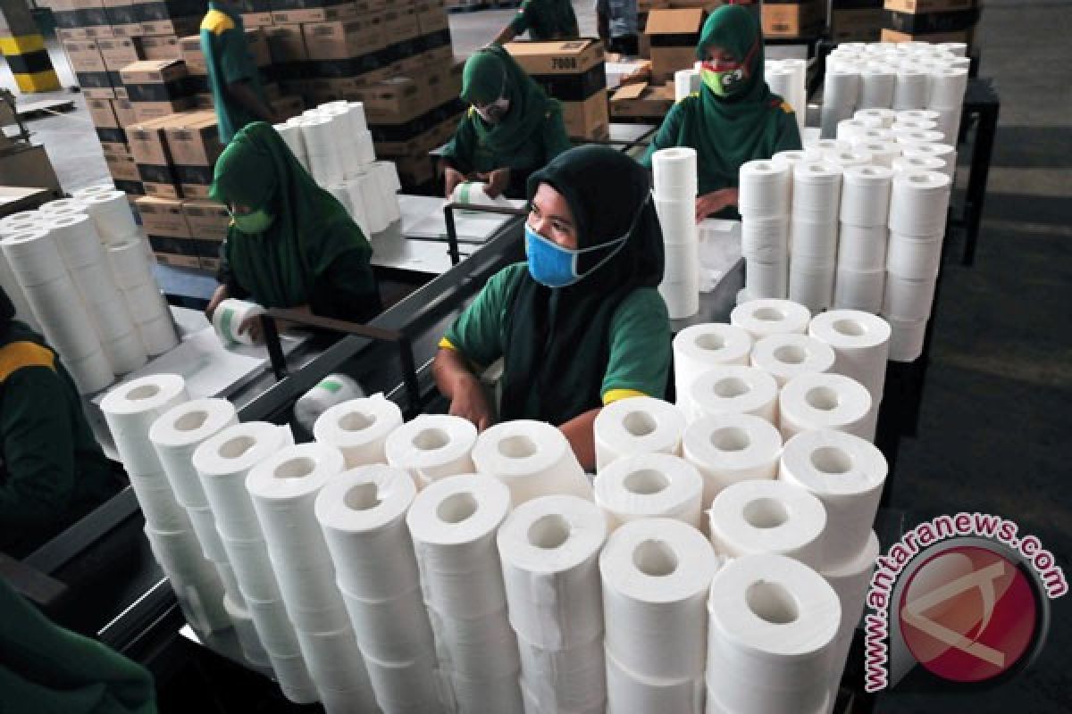 Industri kertas harus impor bahan baku Rp1,3 triliun per tahun