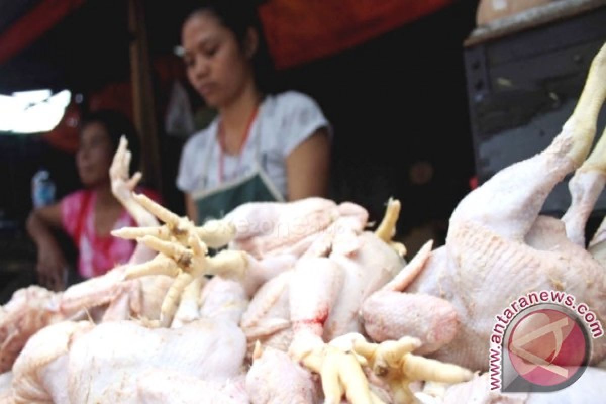 Kutai Timur Beri Label Halal Pedagang Ayam Potong 