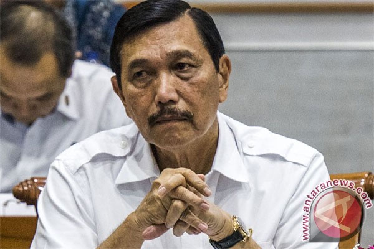 Menko Luhut: pemerintah dorong perikanan sejahterakan rakyat