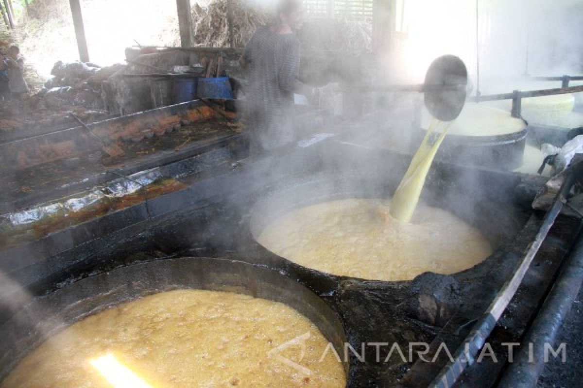 Industri Pengolahan Gula Tebu Tulungagung Masih Tradisional