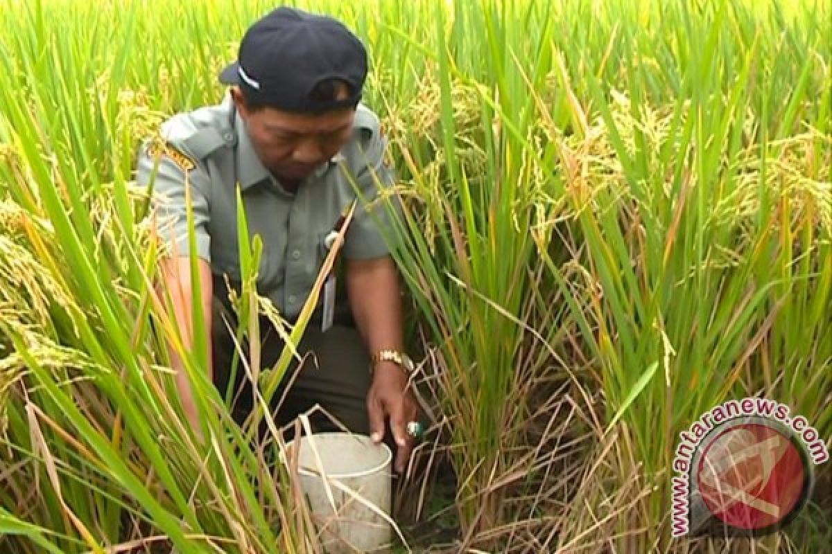 BPTP Yogyakarta terapkan teknologi poengolahan lahan pertanian