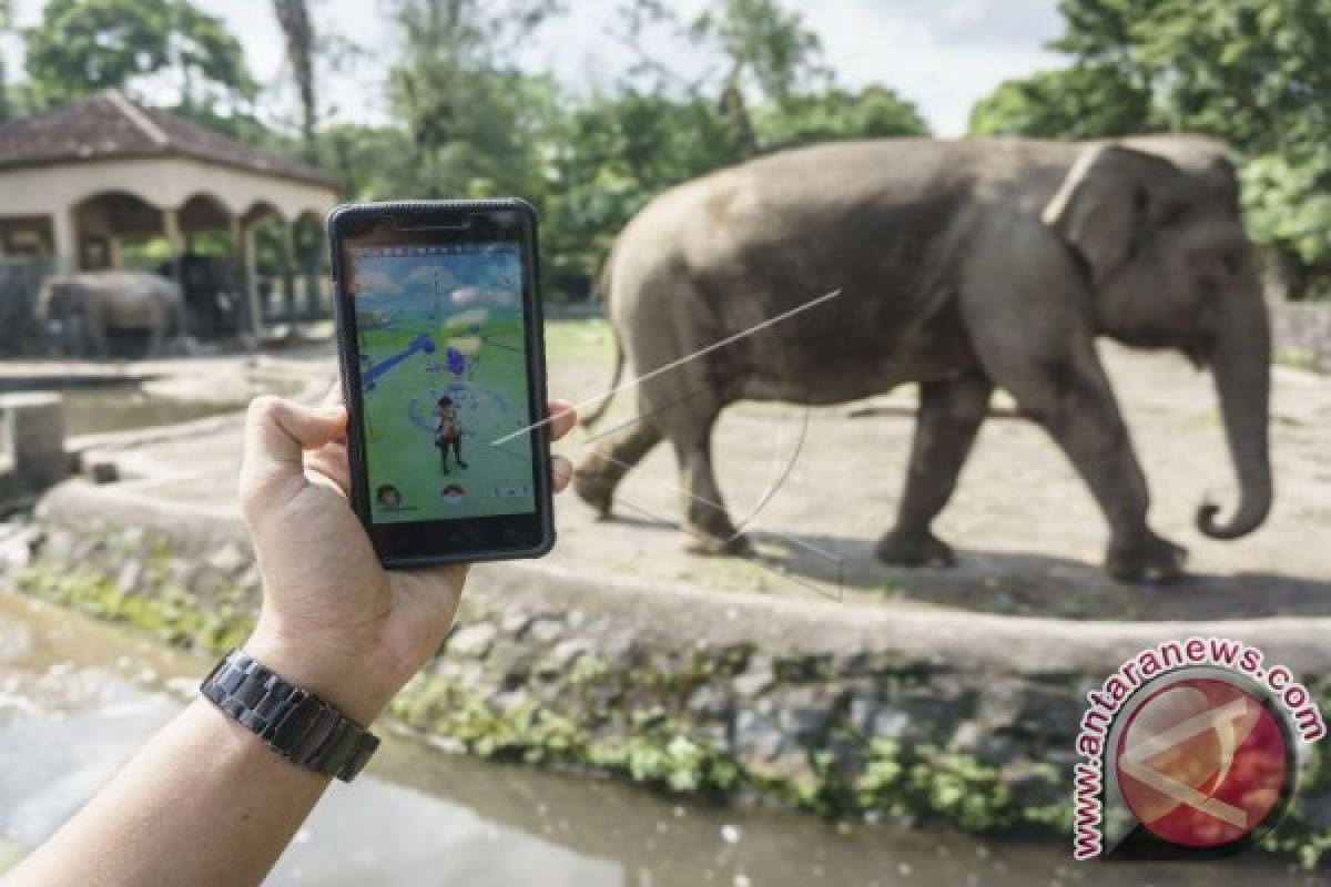 GL Zoo persilahkan wisatawan berburu Pokemon 