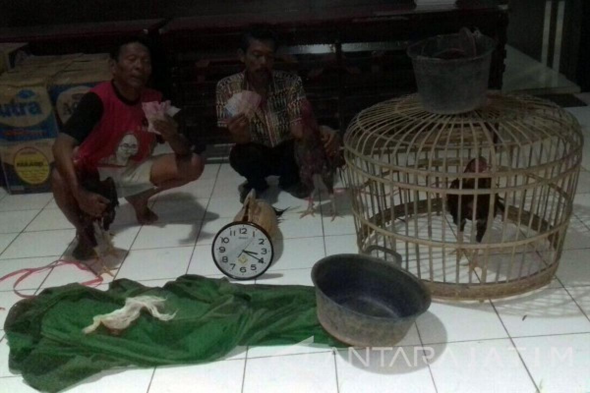 Polres Tulungagung Tangkap Dua Pejudi Sabung Ayam