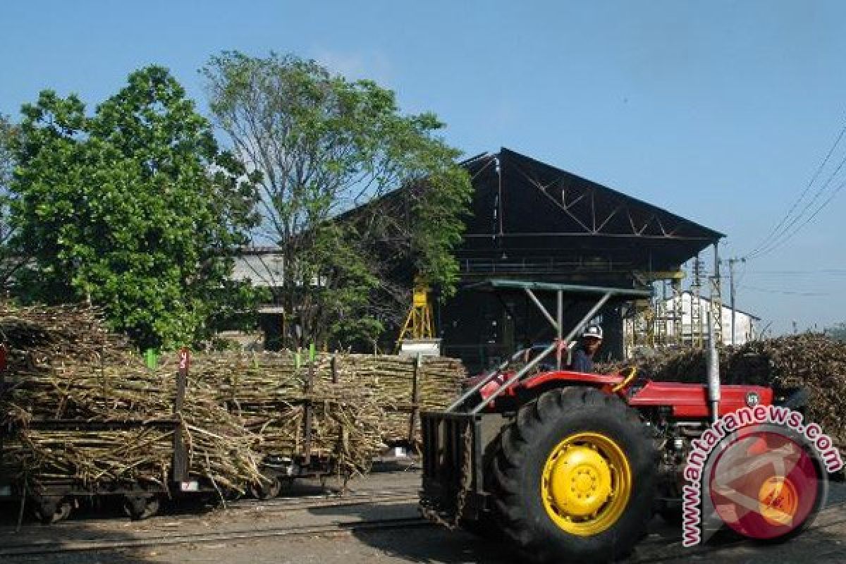 Berswasembada Pangan-Energi Dengan Revitalisasi Pabrik Gula