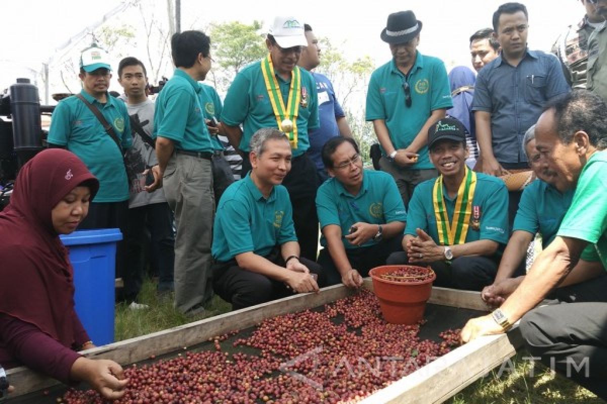 Bupati Bondowoso Ingatkan Petani Menjaga Kualitas Kopi