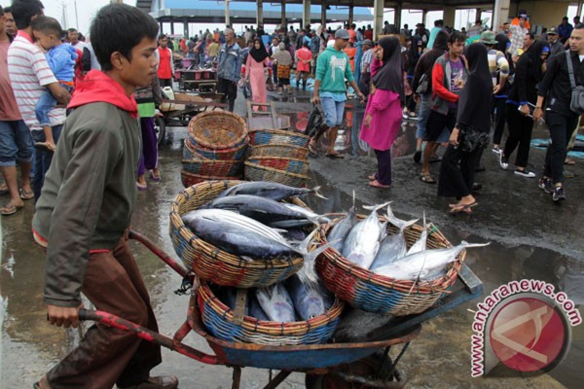 Merauke segera operasikan pelabuhan samudra