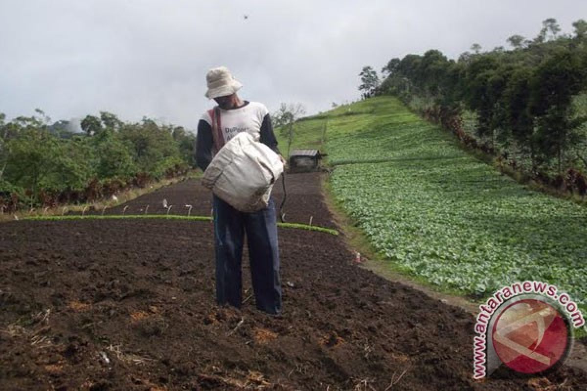 Petani Rejanglebong gunakan pupuk kandang luar daerah