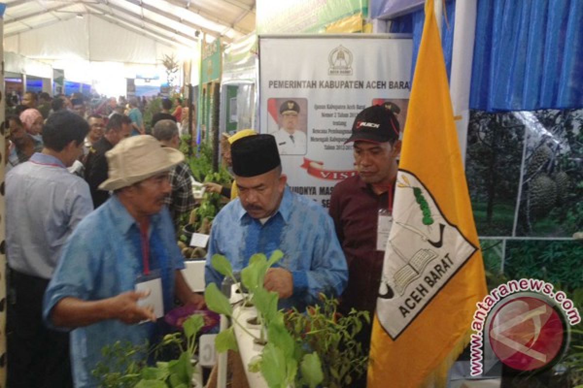 Stand Aceh Barat tampilkan budidaya jernang