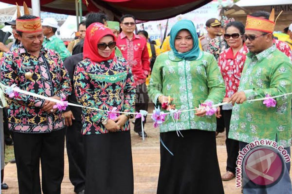 Wagub Kalteng Sebut Kegiatan PEDA KTNA Luar Biasa