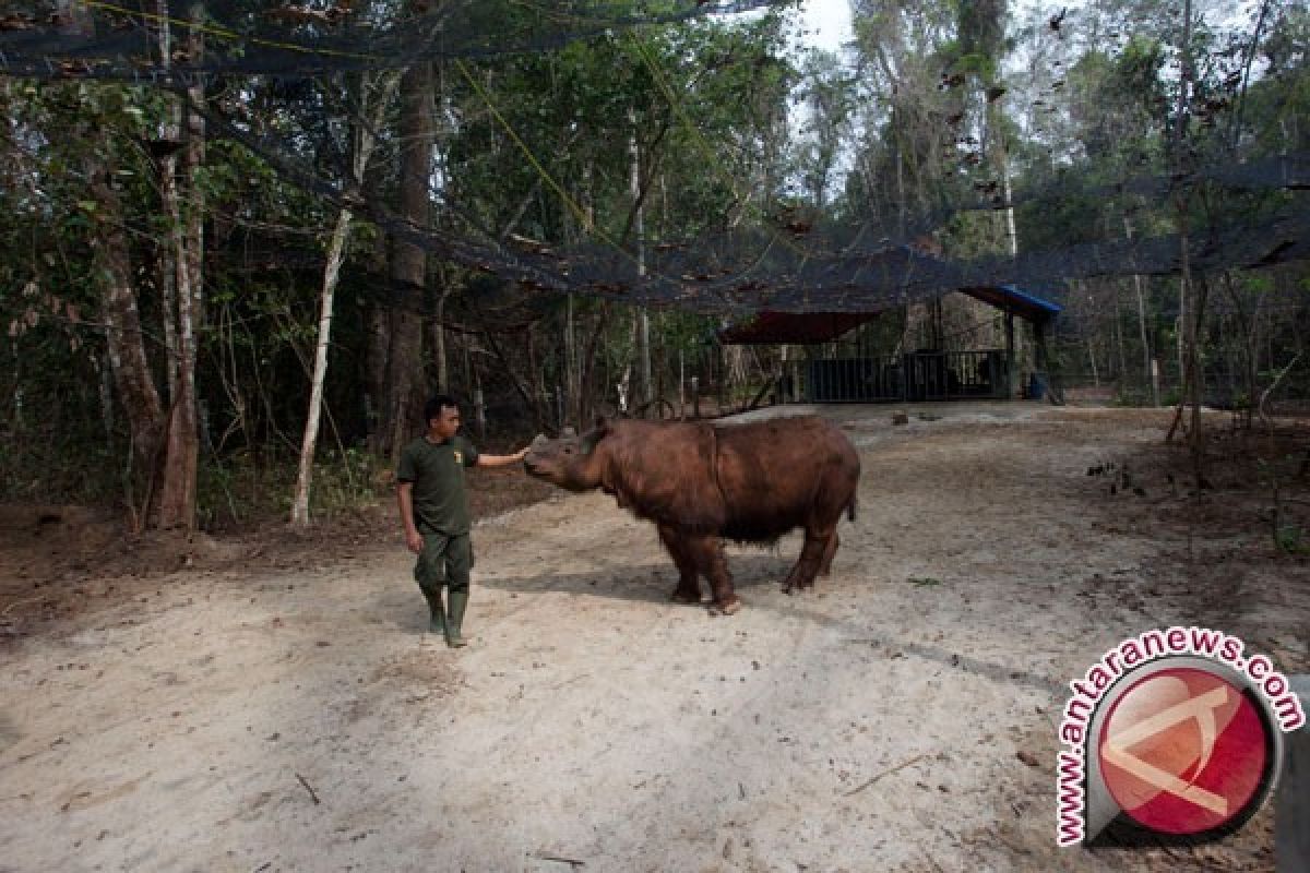 Way Kambas Resmi Menjadi Taman Warisan ASEAN