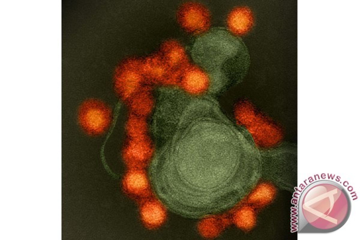 Ilmuan: Setiap Hari Miliaran Virus jatuh ke Bumi