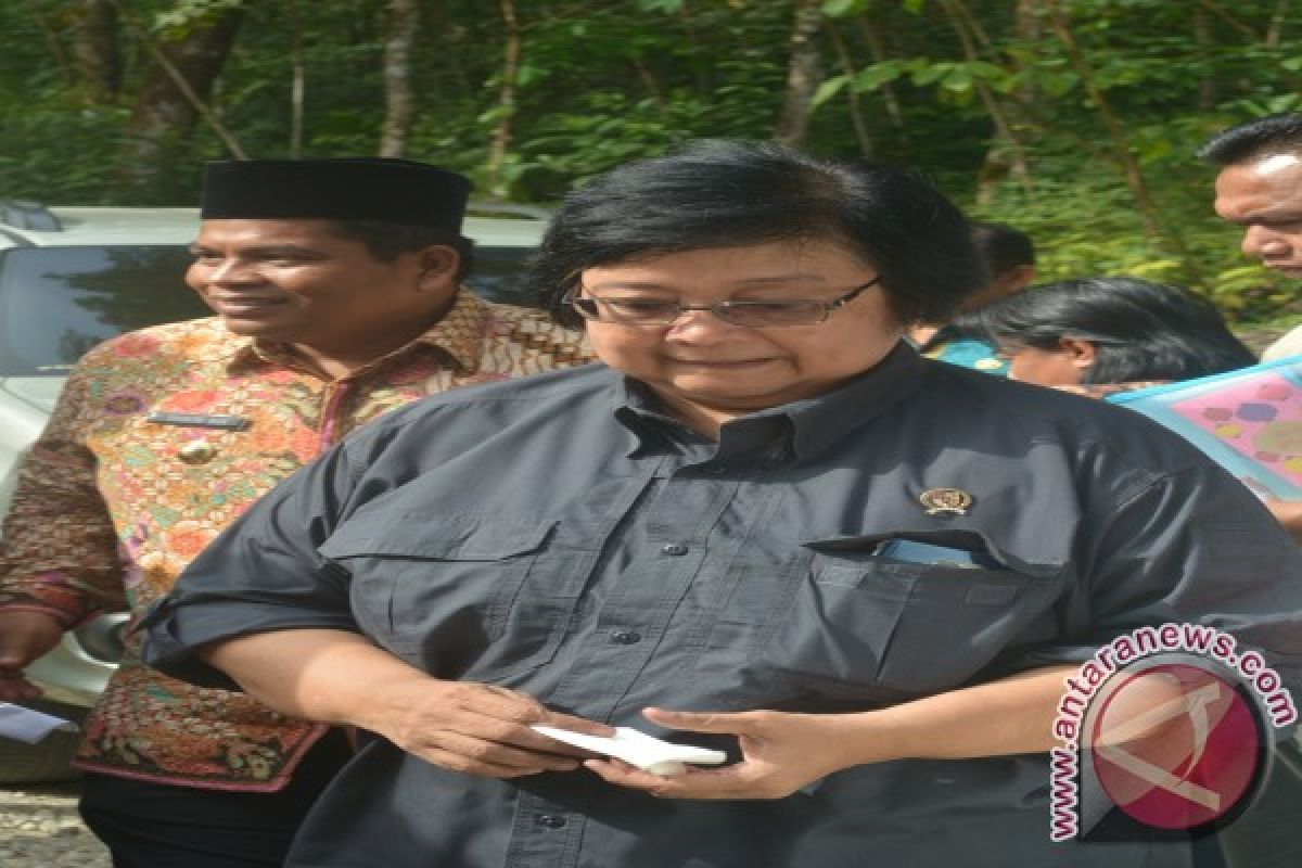 Menteri: Kebakaran Hutan Sumatera 2015 Jadi Pelajaran