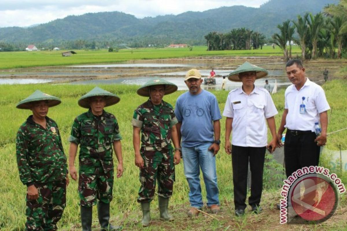 Kasrem Santiago tinjau lokasi tanam sawah Bolmong 