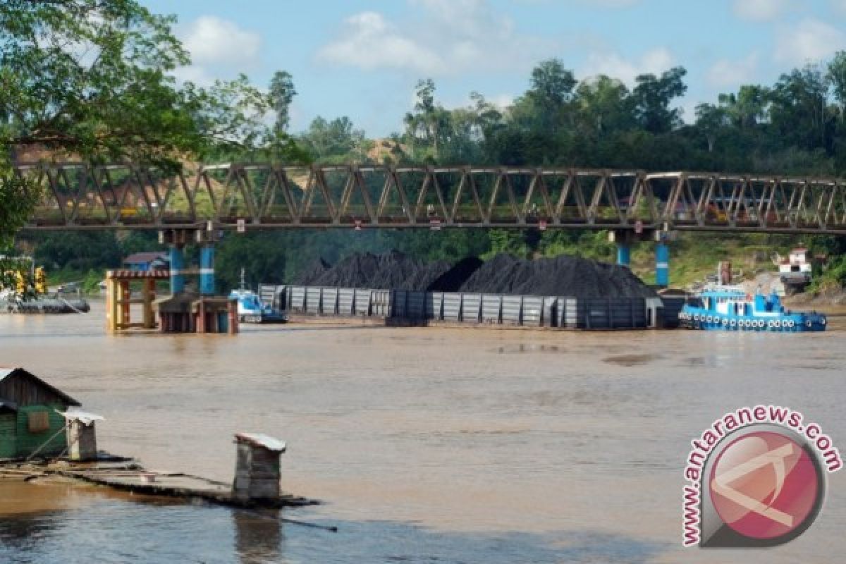 Debit Sungai Barito Naik, Dishub Barut Larang Tongkang Berlayar 