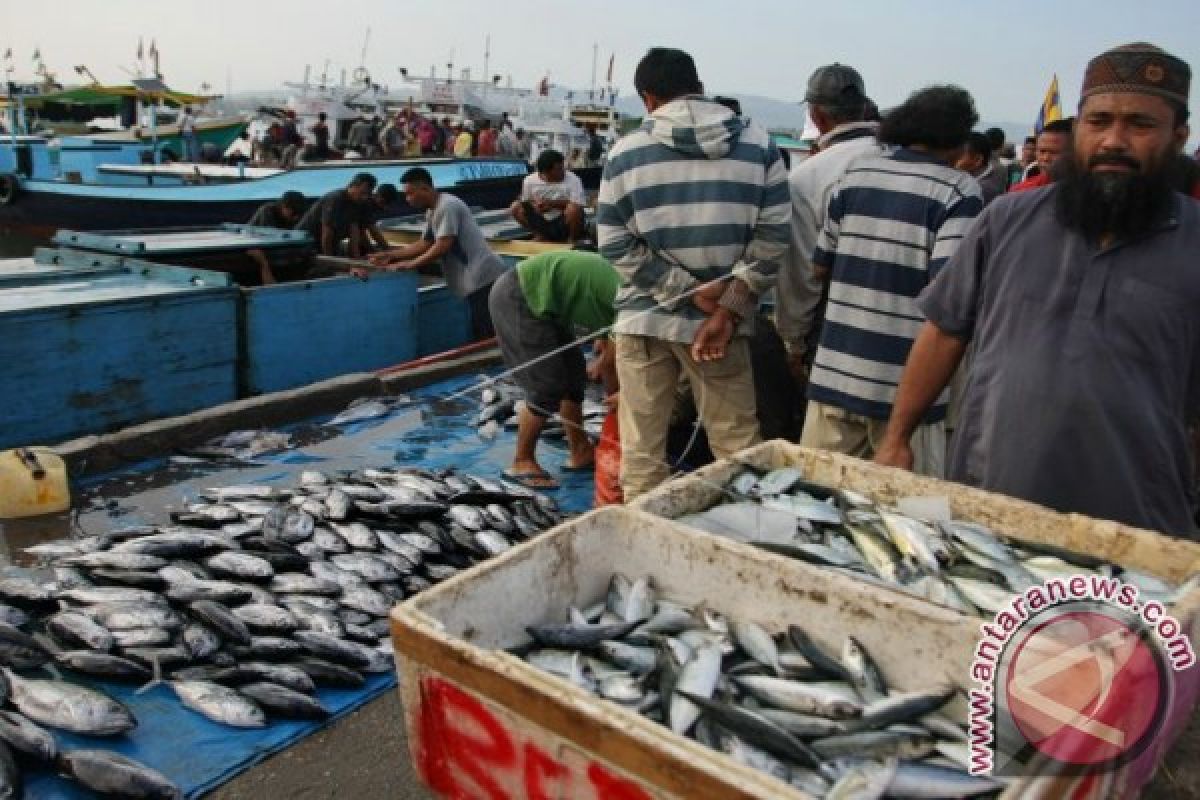 KKP respon usulan pembangunan pelabuhan pendaratan ikan