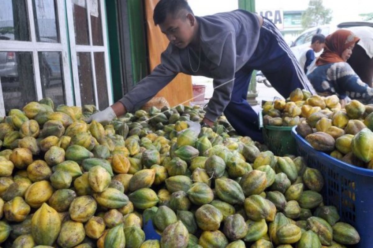 Produk Carica Wonosobo Dipamerkan di Prancis
