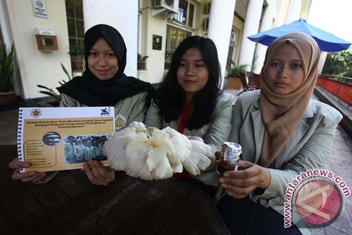 UGM temukan camilan-buah peningkat imunitas tubuh