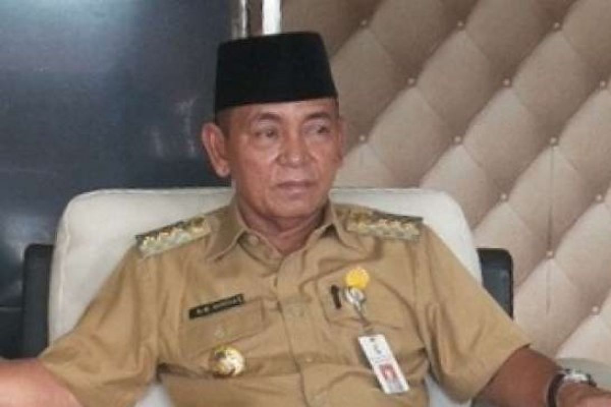 Bupati: Pelalawan Akan Menjadi Bagian Dari Perdagangan Internasional