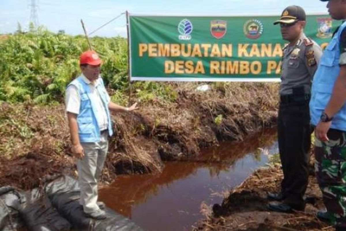 Cegah Karhutla, Sejumlah Kanal Bloking dibangun di Rimbo Panjang