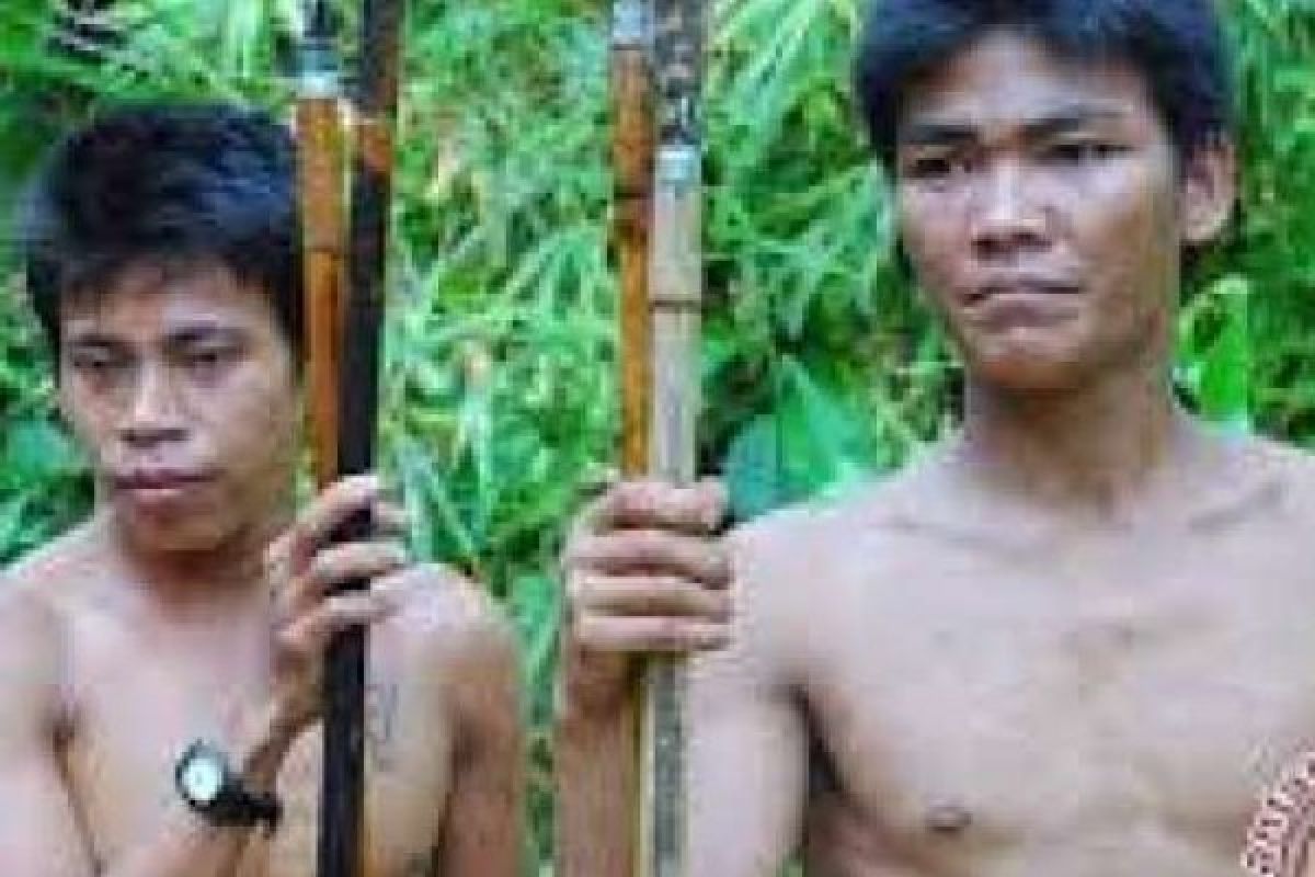 Bukti Masyarakat Adat Riau Lebih Baik Mengelola Hutan Dibanding Perusahaan