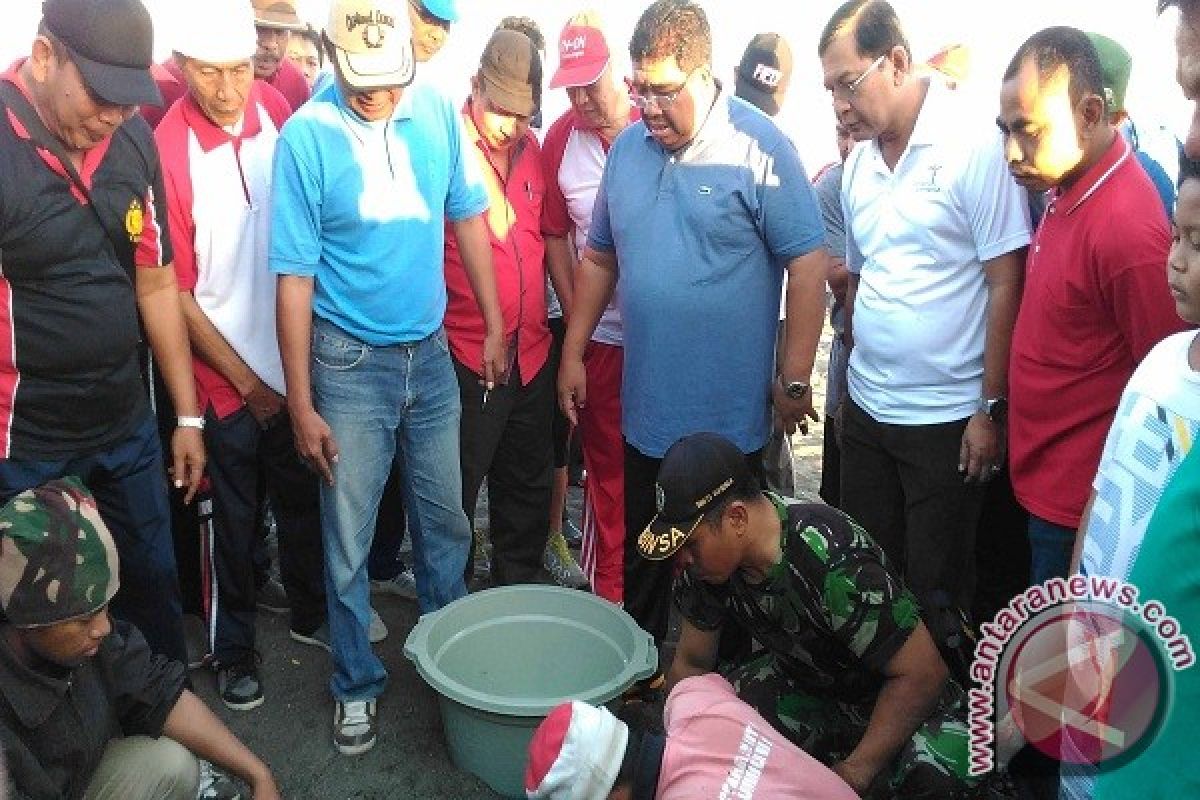 Bupati Buleleng Dukung Konservasi Penyu Penimbangan 