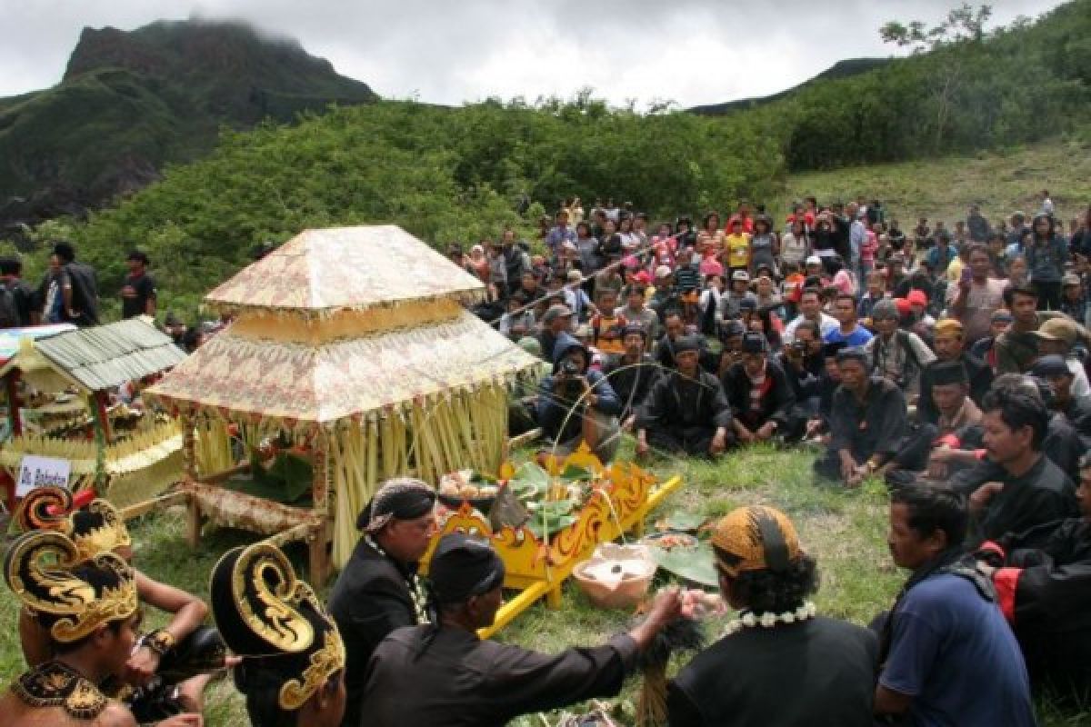 Panen Tembakau, Petani Gelar Ritual "Tungguk Tembakau"
