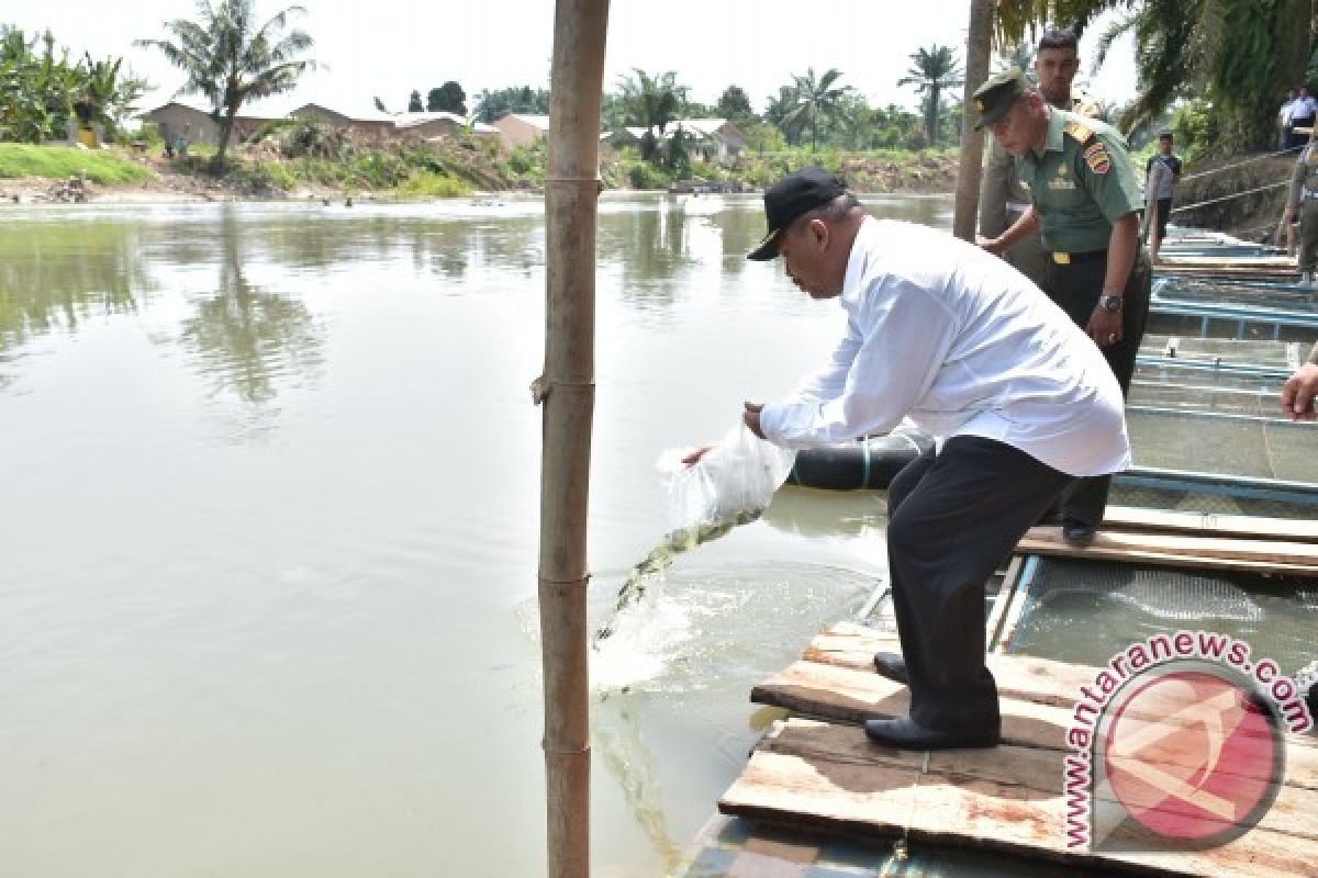 Wali Kota Tebar Benih Ikan 