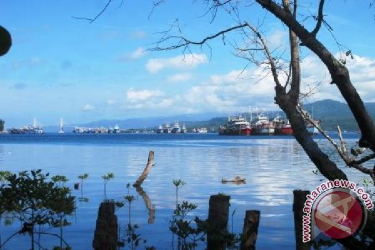 Bapedalda Maluku Dukung Pemkot Ambon Bersih Teluk