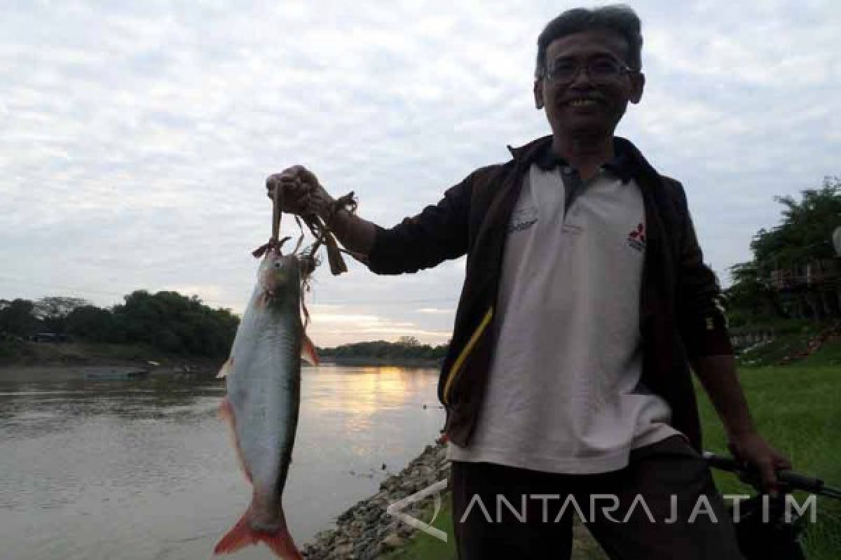 Tingkat Konsumsi Ikan Penduduk Bojonegoro 17,9 Killogram