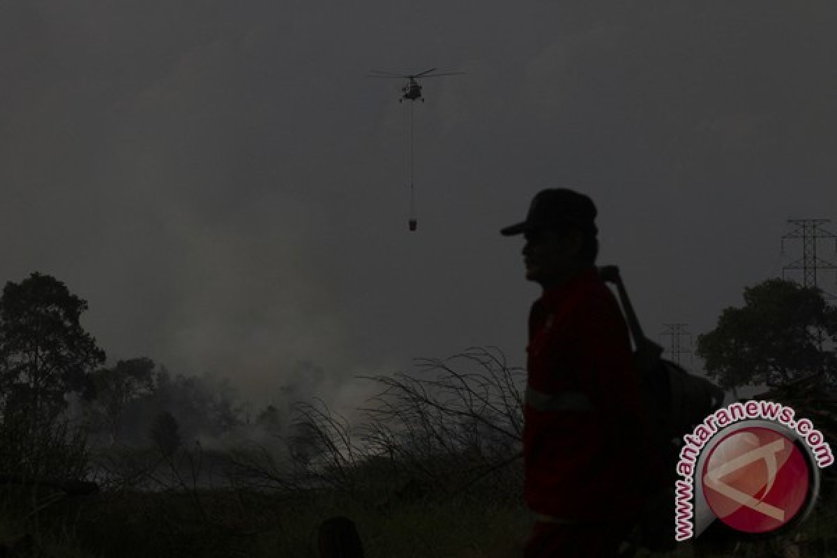 Perda Karhutla harus jadi acuan tanggulangi kebakaran 