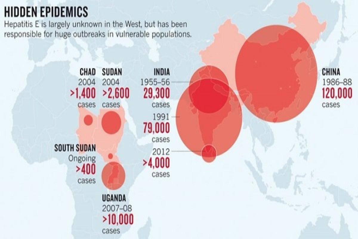 PBB laporkan penyebaran virus hepatitis E di Sudan