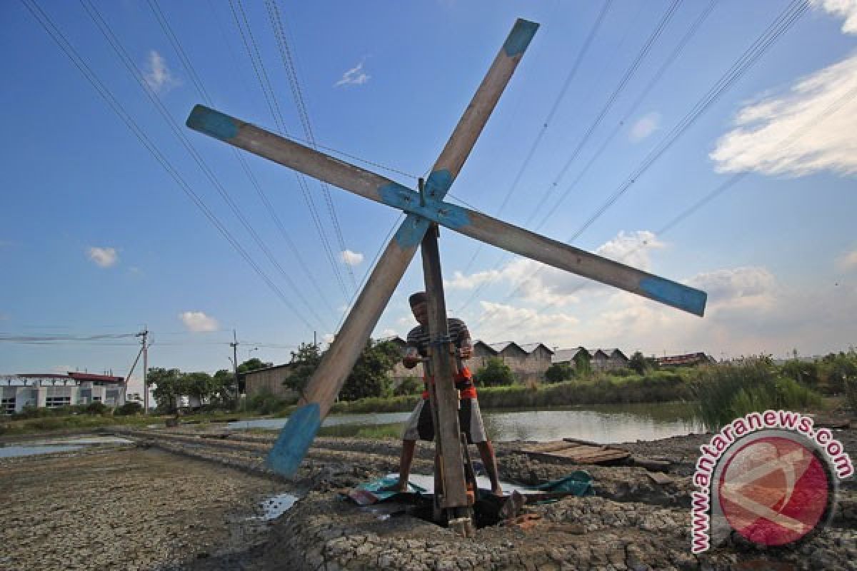 Impor garam diminta tidak korbankan petambak