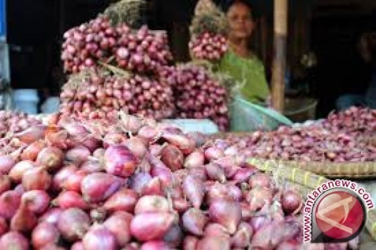 Kenaikan Harga Bawang Resahkan Pedagang Di Penajam 