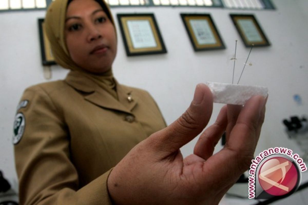 Ikan kepala timah, cupang, nila digunakan untuk basmi jentik nyamuk malaria