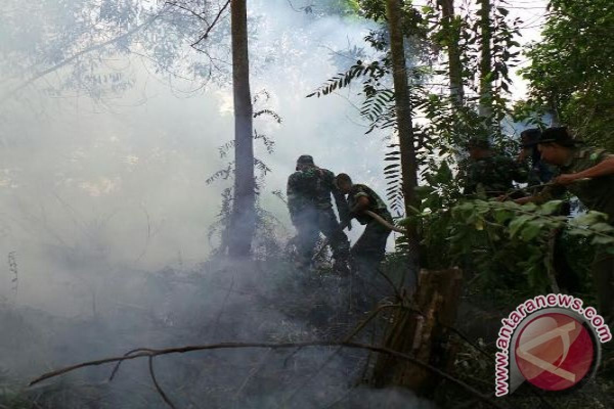 Pemanfaatan hutan ancam keanekaragaman hayati di Kalteng