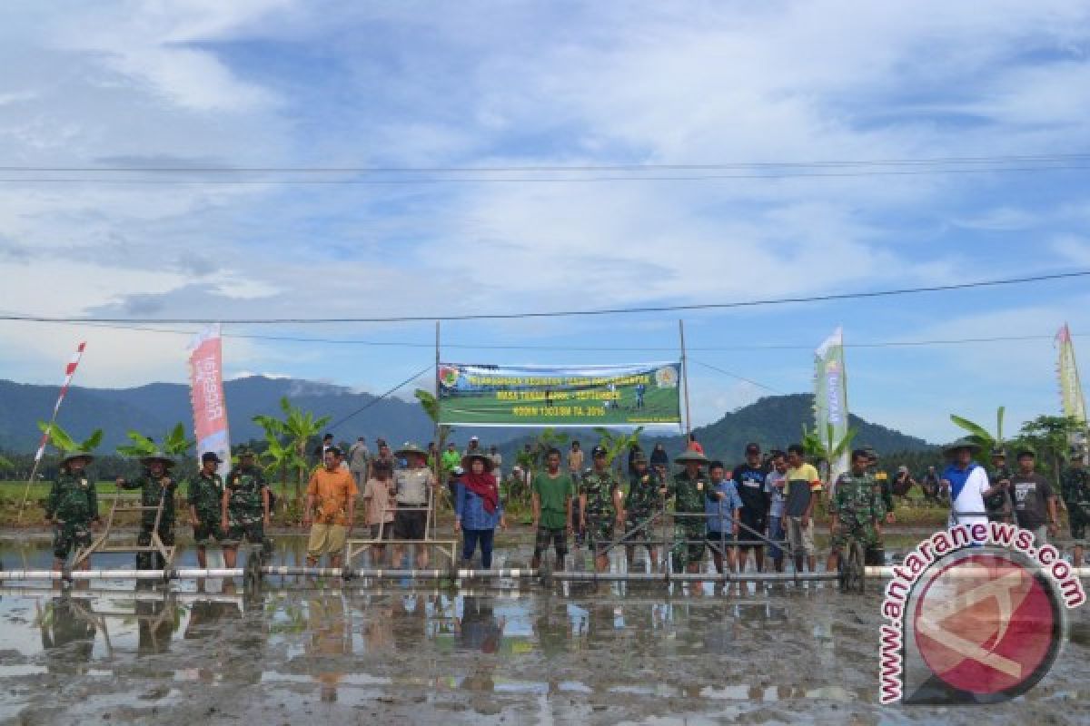 Kodim Bolmong  tanam padi  serentak  di Sangtombolang 