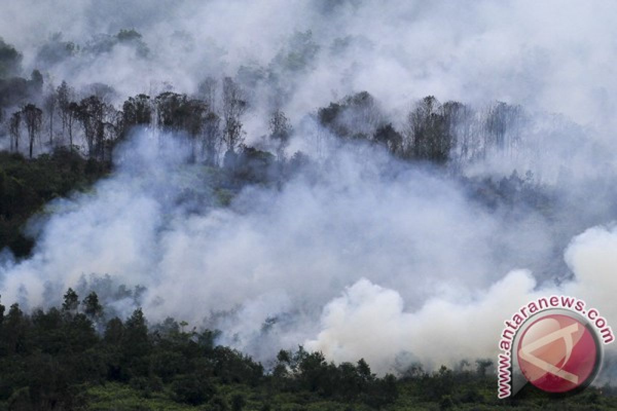 BPBD: warga diminta turut pantau kebakaran hutan