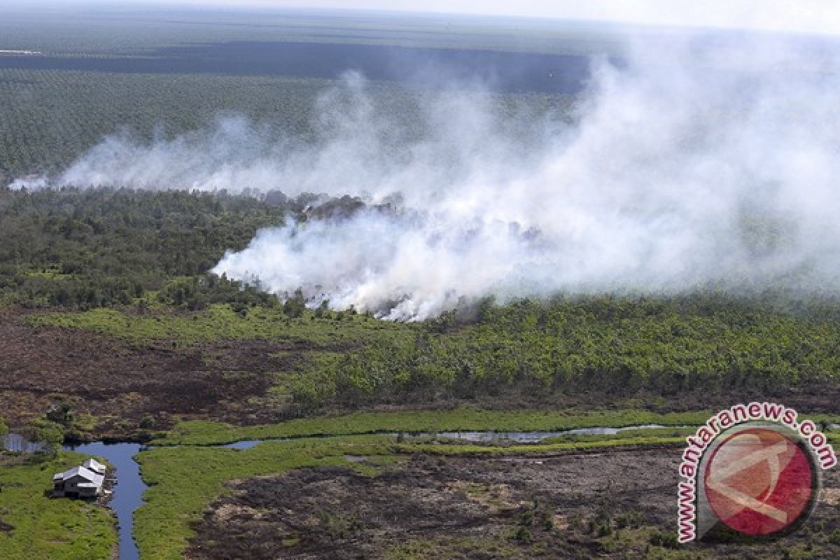 Indonesia keluarkan tiga taman nasional dari daftar bahaya